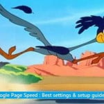 Set up Google Page Speed - Best settings & setup guide