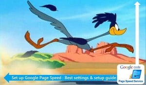 Set up Google Page Speed : Best settings & setup guide