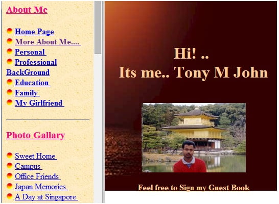 tony john first website