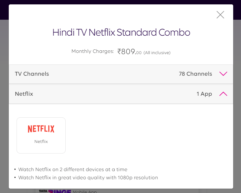 netflix hindi tv standard combo