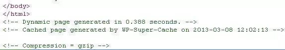 wp super cache settings explain